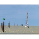 Grande marée en baie de Somme - coefficient de 104