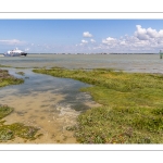 Grande marée en baie de Somme - coefficient de 104