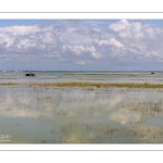 Grande marée en baie de Somme - coefficient de 104