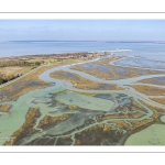 Grandes marées en baie de Somme - Coeff 111