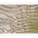 Graphisme des bancs de sable en baie de Somme