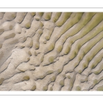 Graphisme des bancs de sable en baie de Somme