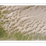 Graphisme des bancs de sable en baie de Somme