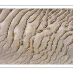 Graphisme des bancs de sable en baie de Somme