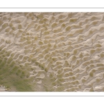 Graphisme des bancs de sable en baie de Somme