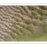 Graphisme des bancs de sable en baie de Somme