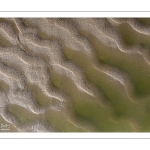 Graphisme des bancs de sable en baie de Somme