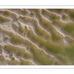 Graphisme des bancs de sable en baie de Somme