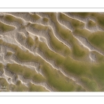 Graphisme des bancs de sable en baie de Somme