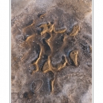 En se retirant, la mer laisse des plaques de glace qui dessinent des motifs sur le sable. FÃ©vrier 2012 : vague de froid intense sur la France. Toute la Baie de Somme est gelÃ©e. Saison : Hiver, Lieu : Le Crotoy, Baie de Somme, Somme, Picardie,France, CÃ´te Picarde