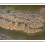Graphisme des bancs de sable en baie de Somme