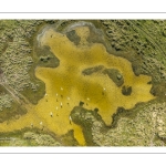 Grande marée d'équinoxe à coefficient 115 en Baie de Somme