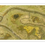 Grande marée d'équinoxe à coefficient 115 en Baie de Somme