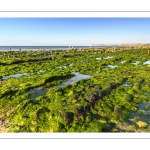 La plage d'Audinghen à la géologie si particulière