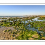 La plage d'Audinghen à la géologie si particulière