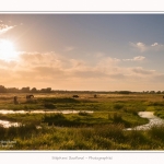 Henson_06_07_2015_016-border