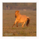 Henson_04_05_2014_019-border