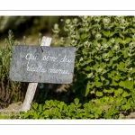 L'Herbarium des remparts à Saint-Valery-sur-Somme (Baie de Somme)