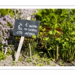 L'Herbarium des remparts à Saint-Valery-sur-Somme (Baie de Somme)