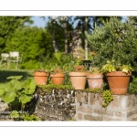 L'Herbarium des remparts à Saint-Valery-sur-Somme (Baie de Somme)