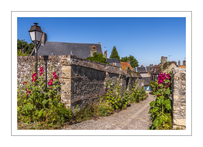 Les ruelles fleuries de la cité médiévale à Saint-Valery-sur-Somme
