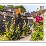 Les ruelles fleuries de la cité médiévale à Saint-Valery-sur-Somme