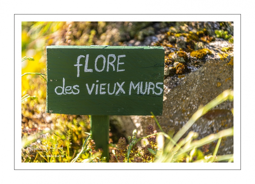 Saint-Valery-sur-Somme, l'Herbarium, jardin de curé