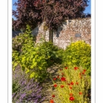 Saint-Valery-sur-Somme, l'Herbarium, jardin de curé