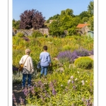 Saint-Valery-sur-Somme, l'Herbarium, jardin de curé