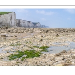 Le platier au bas des falaises à Ault