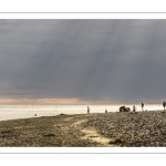 Promeneurs sur la plage un soir au Crotoy