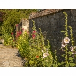 Les rues de la citée médiévale de Saint-Valery au printemps