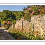 Les rues de la citée médiévale de Saint-Valery au printemps