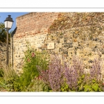 Les rues de la citée médiévale de Saint-Valery au printemps