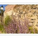 Les rues de la citée médiévale de Saint-Valery au printemps