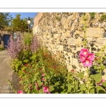 Les rues de la citée médiévale de Saint-Valery au printemps