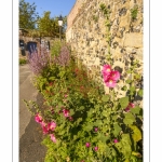 Les rues de la citée médiévale de Saint-Valery au printemps