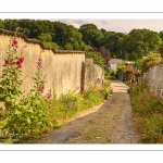 Les rues de la citée médiévale de Saint-Valery au printemps