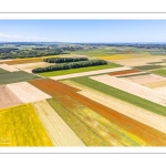 Camaïeu des champs près de Pendé