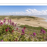 La pointe du Hourdel