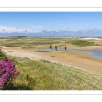 La pointe du Hourdel