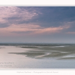 Saison : été - Lieu : Le Hourdel, Baie de Somme, Somme, Hauts-de-France, France.