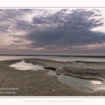 Saison : été - Lieu : Le Hourdel, Baie de Somme, Somme, Hauts-de-France, France.