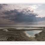 Saison : été - Lieu : Le Hourdel, Baie de Somme, Somme, Hauts-de-France, France.