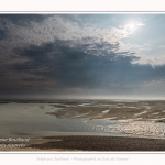 Saison : été - Lieu : Le Hourdel, Baie de Somme, Somme, Hauts-de-France, France.