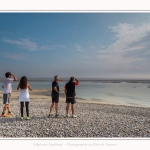 Saison : été - Lieu : Le Hourdel, Baie de Somme, Somme, Hauts-de-France, France.