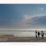 Saison : été - Lieu : Le Hourdel, Baie de Somme, Somme, Hauts-de-France, France.