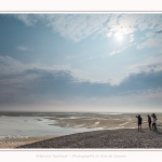 Saison : été - Lieu : Le Hourdel, Baie de Somme, Somme, Hauts-de-France, France.