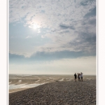 Saison : été - Lieu : Le Hourdel, Baie de Somme, Somme, Hauts-de-France, France.