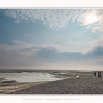 Saison : été - Lieu : Le Hourdel, Baie de Somme, Somme, Hauts-de-France, France.